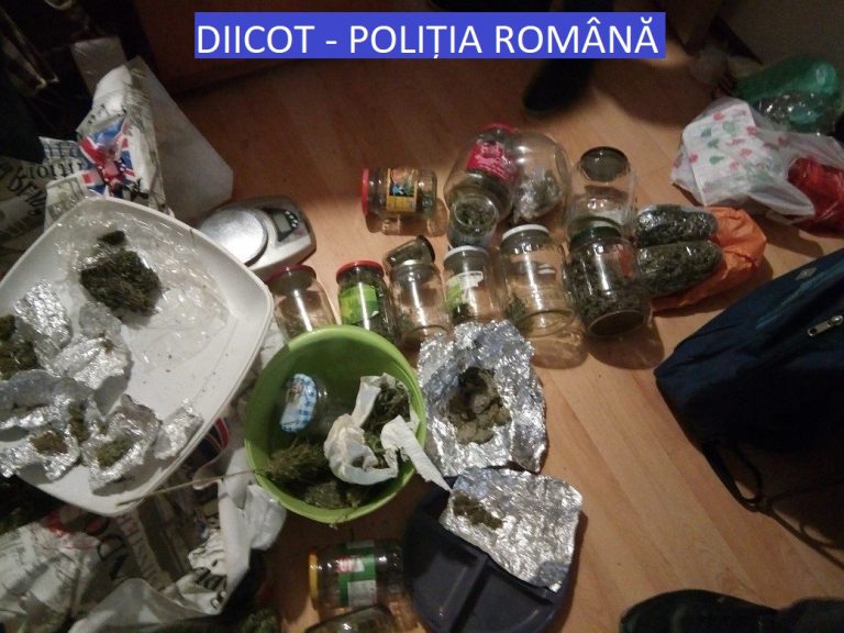 Traficant de droguri din Arad, săltat de mascații de la DIICOT. Ce ”bogăție” avea acasă