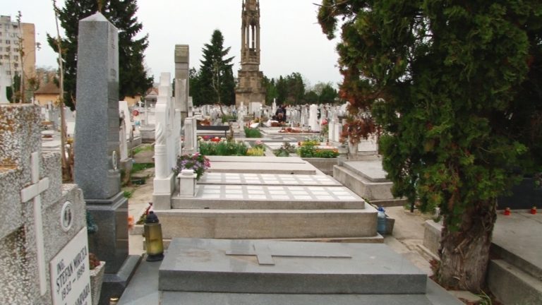 Părți umane, descoperite lângă un cimitir din Timișoara