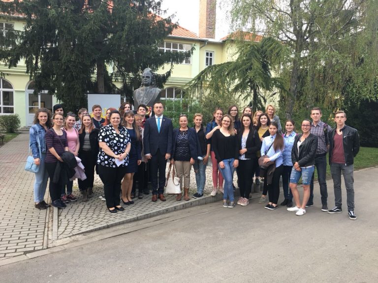 Parteneriat școlar româno-ungar la Gyula