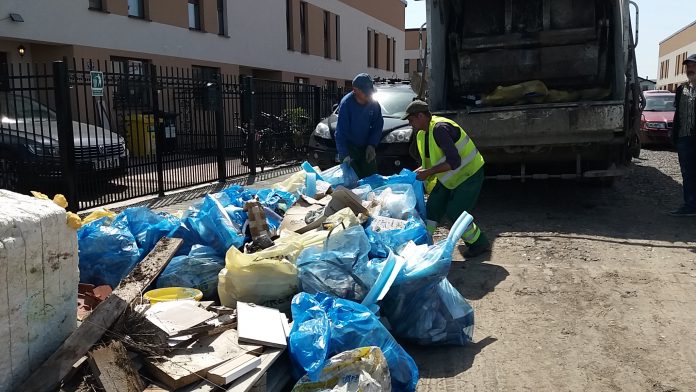 curatenie deseu gunoaie dumbravita (21)