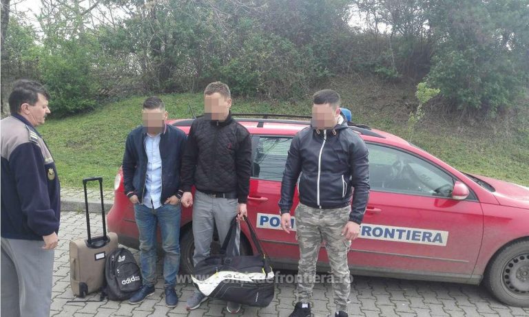 Migranți în tufișuri! Urmărire pe câmp, în Timiș, pentru prinderea unor transfugi