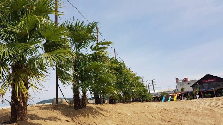 Plaja Ghioroc dă startul unui nou sezon estival