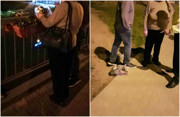 Parcă sunt fermecate! Ce s-a mai putut întâmpla cu cele mai râvnite ghivece de flori din Timișoara