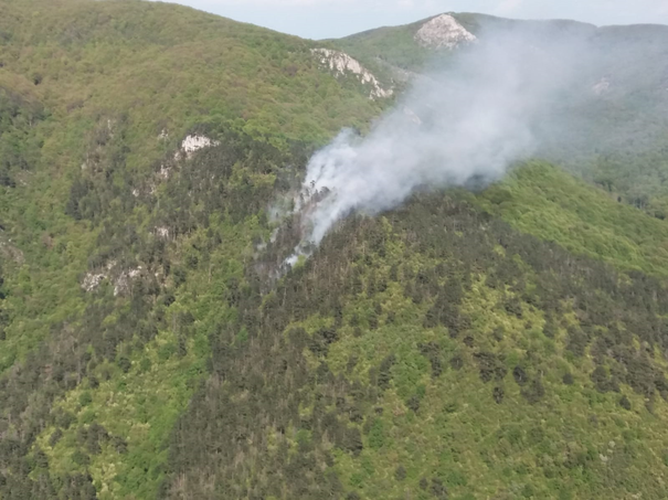 Incendiu uriaș în Parcul Naţional Domogled, Valea Cernei. Peste 100 de forțe intervin pentru lichidarea sa