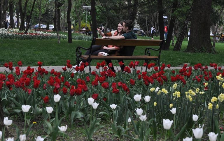 Simfonia lalelelor la Timişoara. Foto