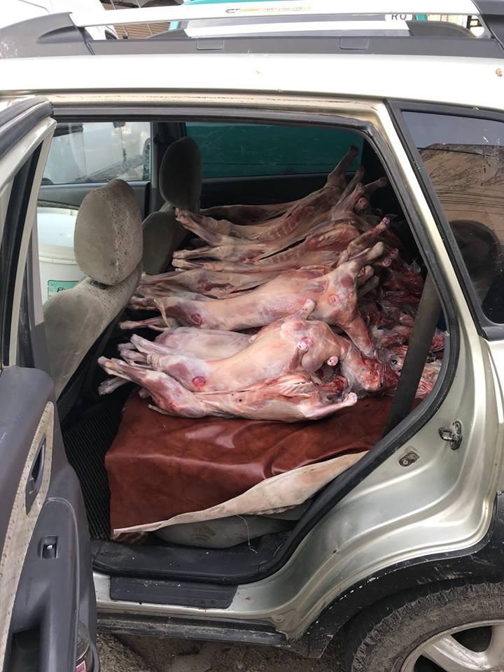 Miei vânduți direct de pe bancheta din spate a mașinii, la Timișoara! Nereguli grave în piețe. Foto