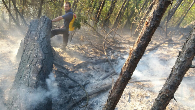 Incendiul din Parcul Național Domogled nu a fost încă lichidat. Imagini cu dezastrul natural