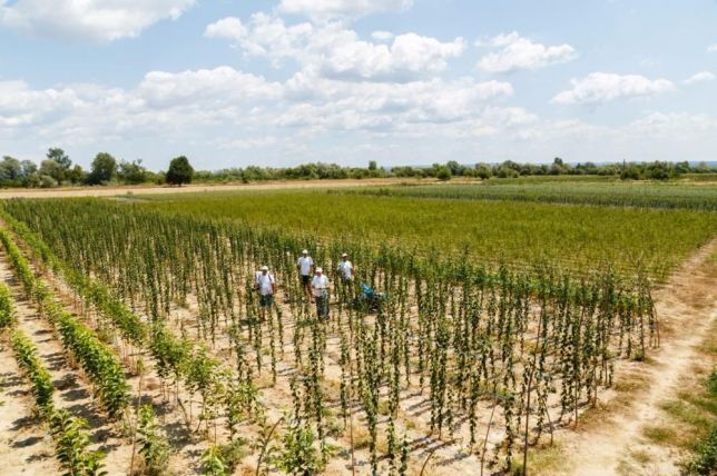 Afacere de succes a unei familii de cercetători din vestul țării! „Nu producem în șarje mari, ci puțin și bun”