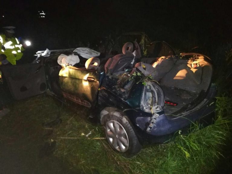 Accident cu urmări cumplite în Timiș! Cinci persoane au decedat si un copil e rănit, în urma impactului