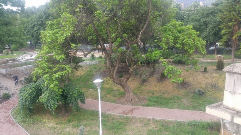 Când va fi gata parcul de pe malul Begăi? Termenul, greu de estimat cu exactitate