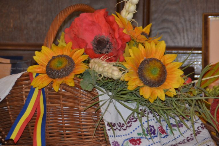 Expo Banat Agralim își deschide porțile pentru marele public. Programul complet