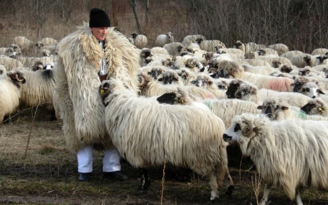 Ciobanul Ştefan Grosu de la Straja a ieşit la pensie la 100 ani