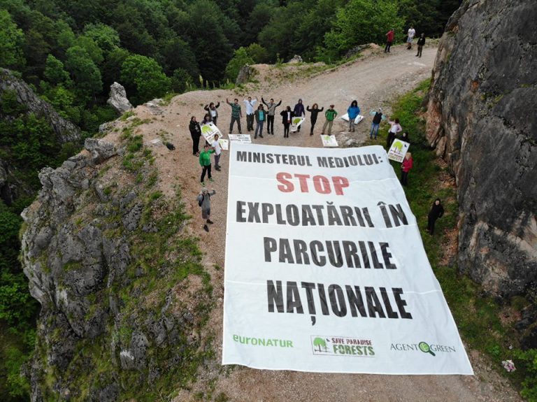 Protest în inima Parcului Național Domogled – Valea Cernei