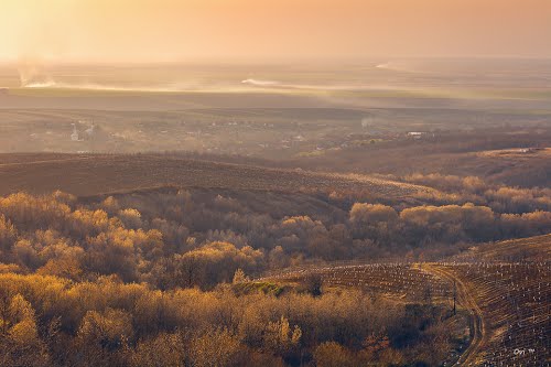 800 de oameni dintr-o localitate timișeană vor fi mai fericiți! Ce se întâmplă în ”satul așezat pe trei văi”