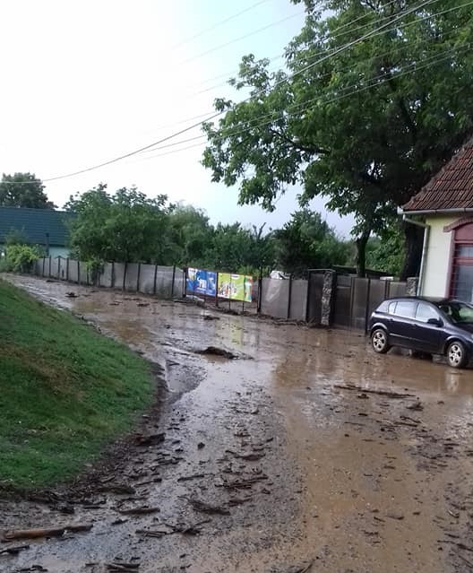 Ploaia a făcut prăpăd într-un sat din vestul țării! Drumuri și case inundate