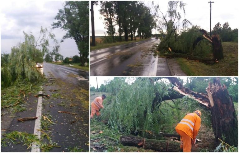 Lucrări de reparații și de întreținere după furtună, pe drumurile din vest