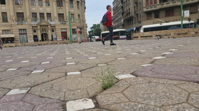 Piaţa Victoriei înverzeşte în aşteptarea reabilitării. FOTO