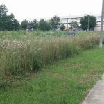 35891942_578329835883435_6723447319619960832_n