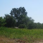 36087326_1852796421422402_5224530791609925632_n