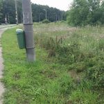 36176439_578329879216764_3277283556946083840_n