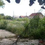 36187980_1852796441422400_2942447279484698624_n