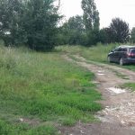 36188397_578329732550112_1308596262152437760_n