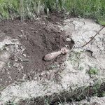 bomba-veche-razboi (1)