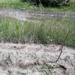 bomba-veche-razboi (2)