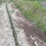 bomba-veche-razboi (7)