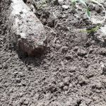 bomba-veche-razboi (8)