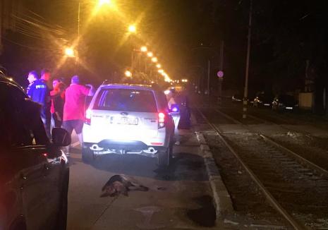 caine-tarat-dupa-masina-040618