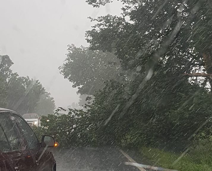 Furtună în vestul țării! Drum blocat de copacii doborâți de furtună