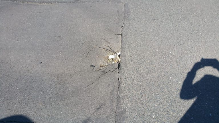 Capcane pentru șoferi în zona Iosefin. Galerie FOTO