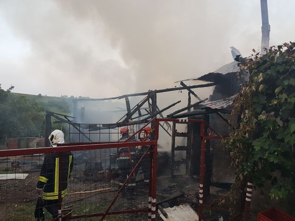 Incendiu la un adăpost de animale! Tânăr mușcat de câinele pe care a încercat să îl salveze