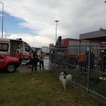 36827666_1767741709975957_5495259682836578304_n