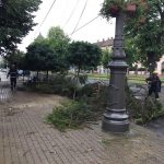 36874933_2023061167714041_8475571514261897216_n