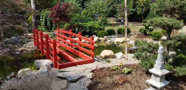 Parcul Alpinet are o față nouă! Nu se știe când va fi inaugurat. Foto