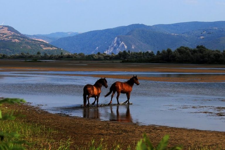 Paradisul necunoscut al României, din Banat, va fi transformat în atracție turistică. Video