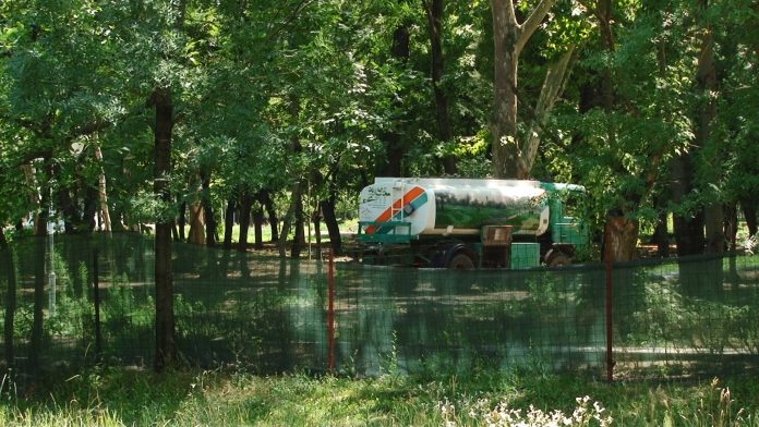 PARCUL CENTRAL SKATE-PARC.Still022