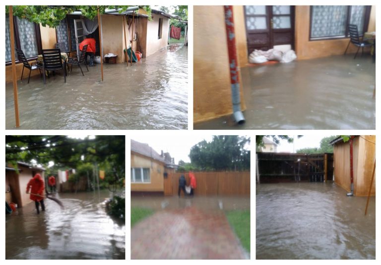 Inundații în Sânnicolau Mare. Foto