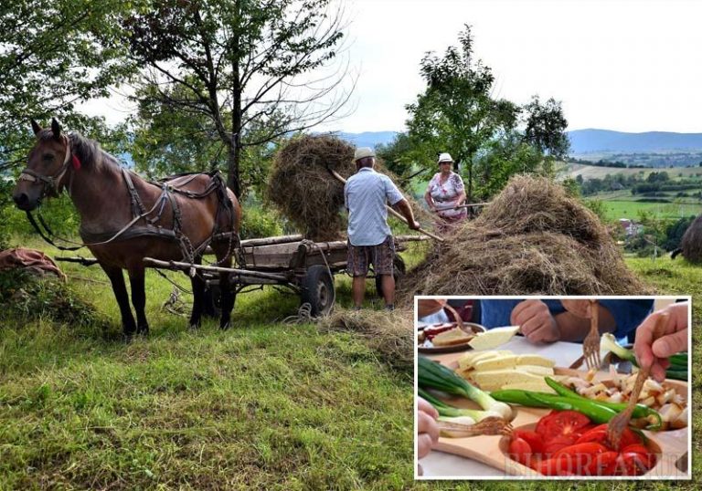 Ospăț în Pădurea Craiului: Orășenii sunt îndemnaţi să exploreze frumusețile Bihorului, cu bunătăți gătite după rețete vechi