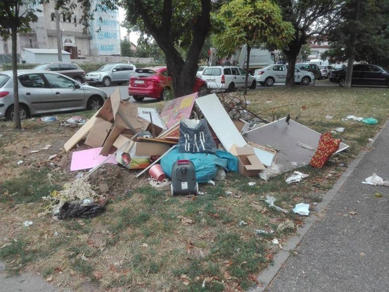 Timișoreni fără bun simț: tot mai mulți aruncă deșeuri la întâmplare
