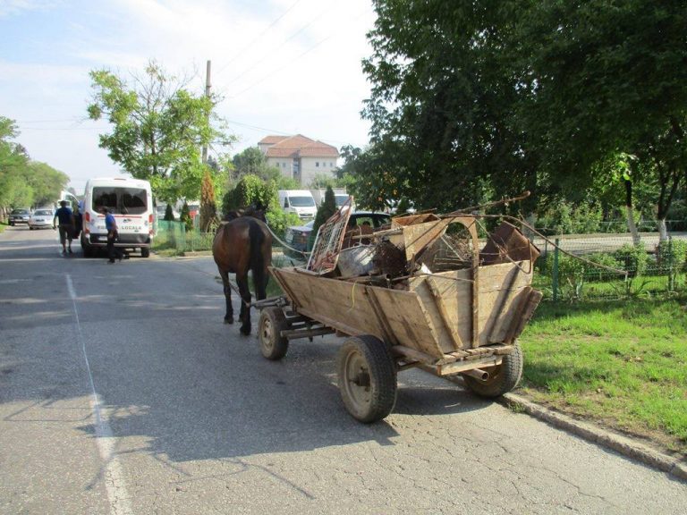 La oraș, ca la țară! Zeci de căruțe circulă prin Timișoara