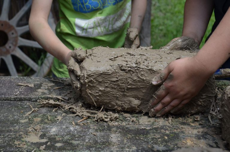 Cum devin casele de pământ din Banat, marcă locală. Proiect cultural inedit desfășurat în Timiș