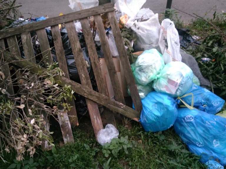 14 tone de deșeuri voluminoase, colectate la Timișoara în prima săptămână a campaniei