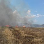 incendiu-vegetatie-pompieri (1)