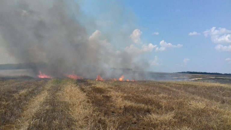 Plan de măsuri pentru stoparea incendiilor de vegetație uscată