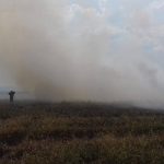 incendiu-vegetatie-pompieri (3)