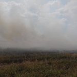 incendiu-vegetatie-pompieri (4)