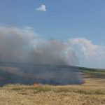 incendiu-vegetatie-pompieri (5)